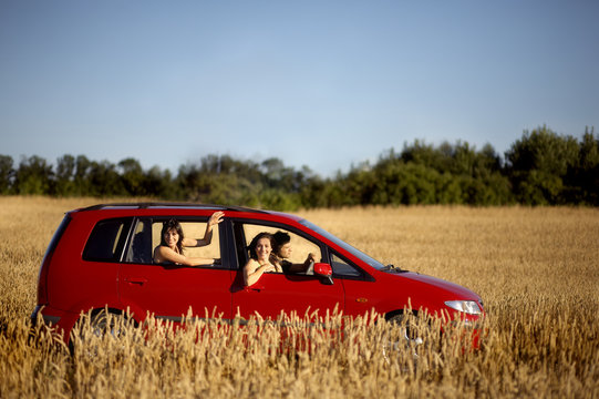 Red car on a wheat fields