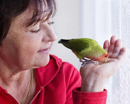 Woman With A Parrot