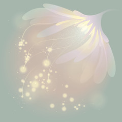 Soft fairy flower at spring sunrise - 39459580