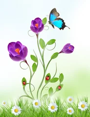 Poster Ontwerp met paarse bloemen © Lukas Gojda