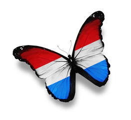 Luxembourg flag butterfly, isolated on white