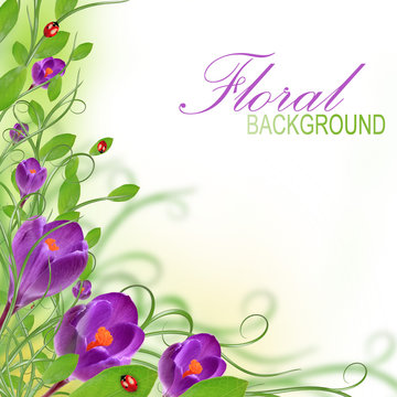Fototapeta purple flower design with copy space