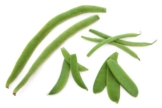 Pea and Bean Selection