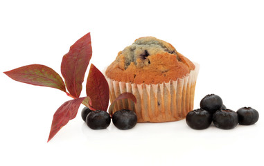 Blueberry Muffin
