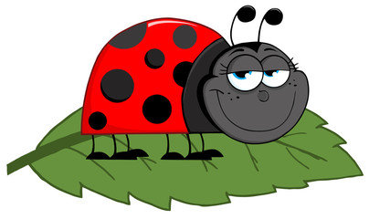 Happy Cartoon Ladybug On A Leaf