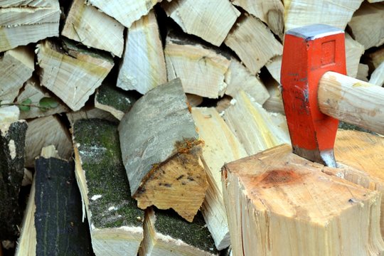 Stamm wird gespalten
