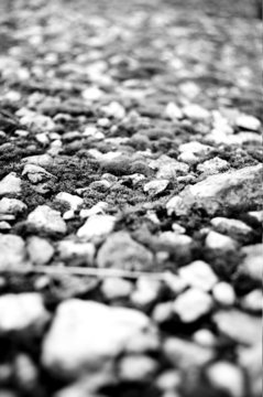 Kieselweg @ miket