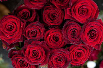 red roses