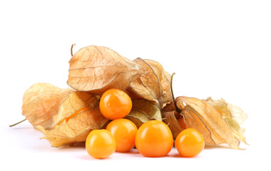 Physalis heap isolated on white