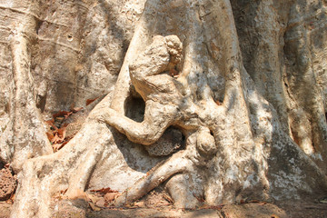 Monkey shape at the bottom of tree