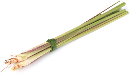 racines de citronnelle