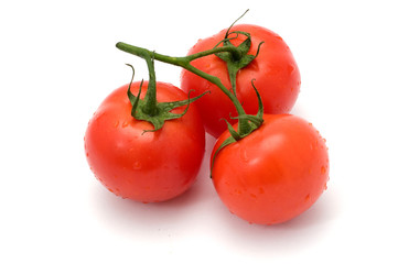 a bunch of tomatoes