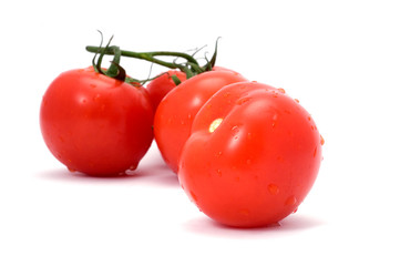 red tomatoes