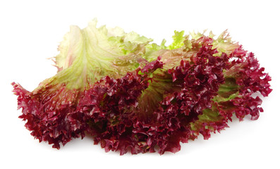 Fresh red lettuce