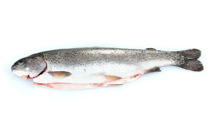 Fresh fish isolated on white