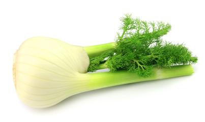 Fresh fennel bulb