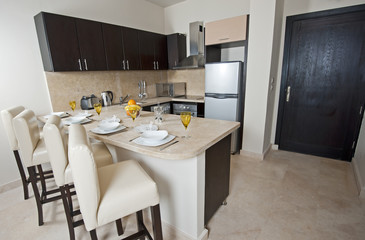 Luxury apartment interior design