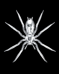 Metallic spider on black background