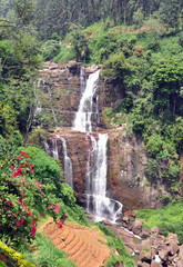Waterfall near tea plantation