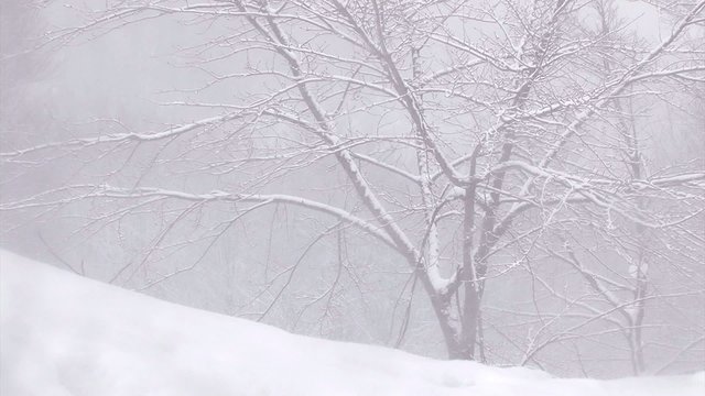 Snowfall in Mt. Hakkoda,Aomori,Japan