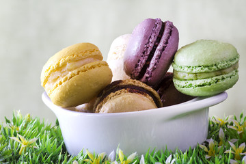 colorful macaroons bowl