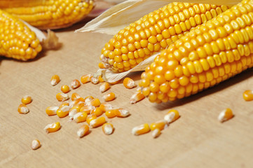 reifer Mais - Detail