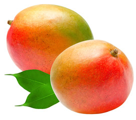 Mango isolated on white background