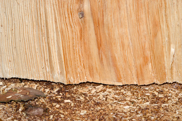 gefällter Baum, Späne und Holzfasern