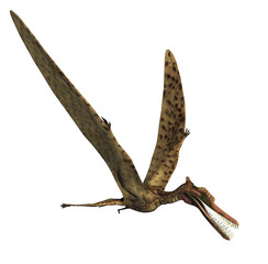 Zhenyuanopterus Dinosaur © AlienCat