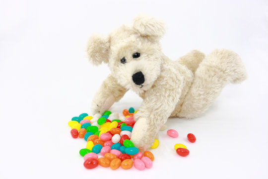 White Teddy Bear With Colorful Candies