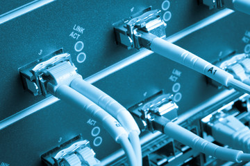 network cables