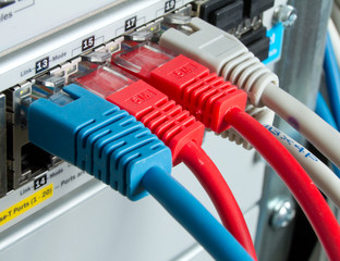 network cables