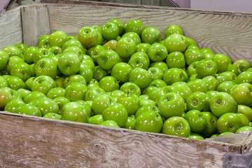 Granny Smith Apples in a cull bin in a fruit packing warehouse