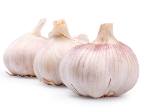 three garlics isolated on white
