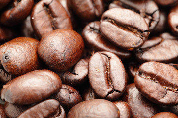 coffee bean