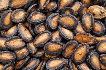 black melon seed