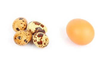 Chicken and quail eggs