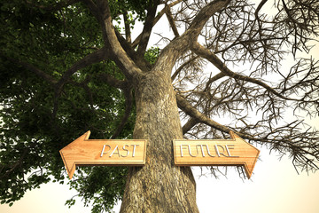 environment past future tree sign