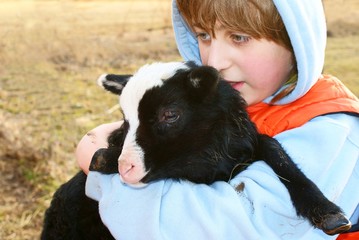 lamb and boy © Anikakodydkova