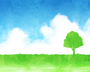 Obraz na płótnie Canvas Zielona łąka drewniany pusty