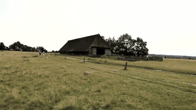 Wandern in der Lüneburger Heide