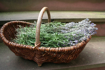 Lavendelkorb