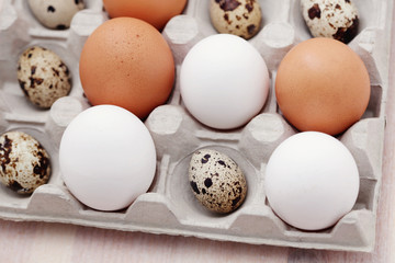 eggs