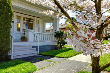 Little old cute house with a blooming cherry tree.