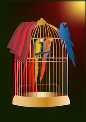 Papier Peint photo Oiseaux en cages trois perroquets en cage