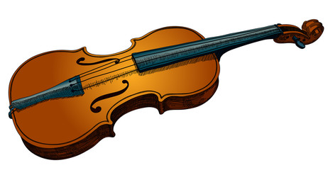 violin