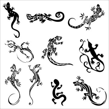 Tattoos lizards (collection)
