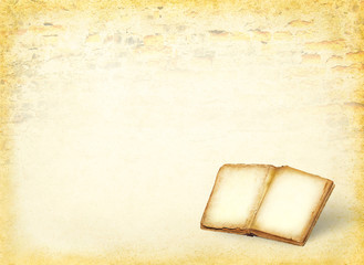 Antique open book pages blank on paper background.
