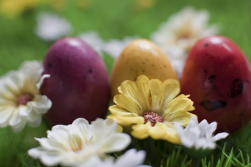Obraz na płótnie Canvas Easter eggs kolorowe cukierki