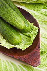 Fresh raw lettuce and herbs